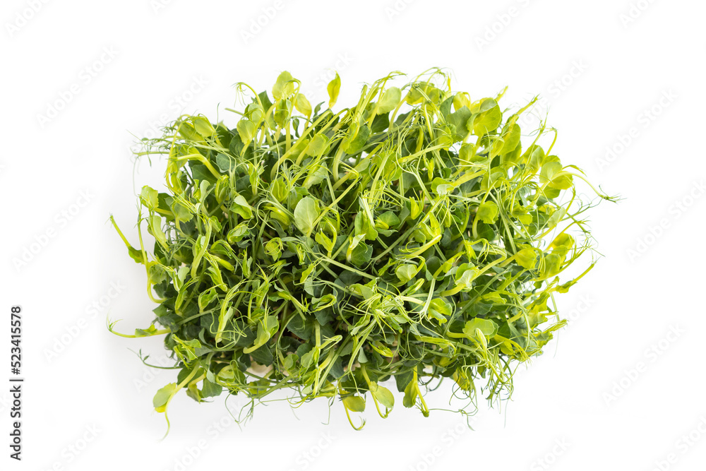 Fototapeta premium Plastic box with microgreen sprouts of green pea isolated on white background. Top view.
