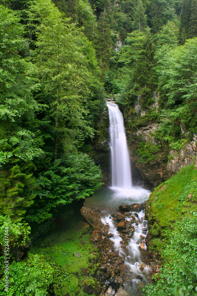 waterfall in the forest waterfall in the forest