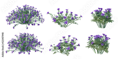 Shrubs and flower on a transparent background 