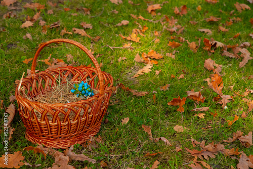 wicker basket folk craft vintage object of Ukrainian culture  autumn colorful aesthetic environment