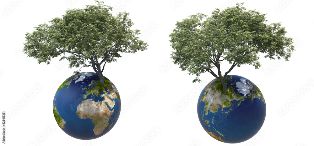 A big tree on Earth with a transparent background. A big tree on Earth with a transparent background.