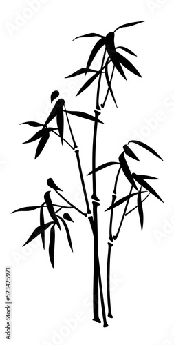Fototapeta Naklejka Na Ścianę i Meble -  Bamboo. Isolated illustration of a bamboo branch.