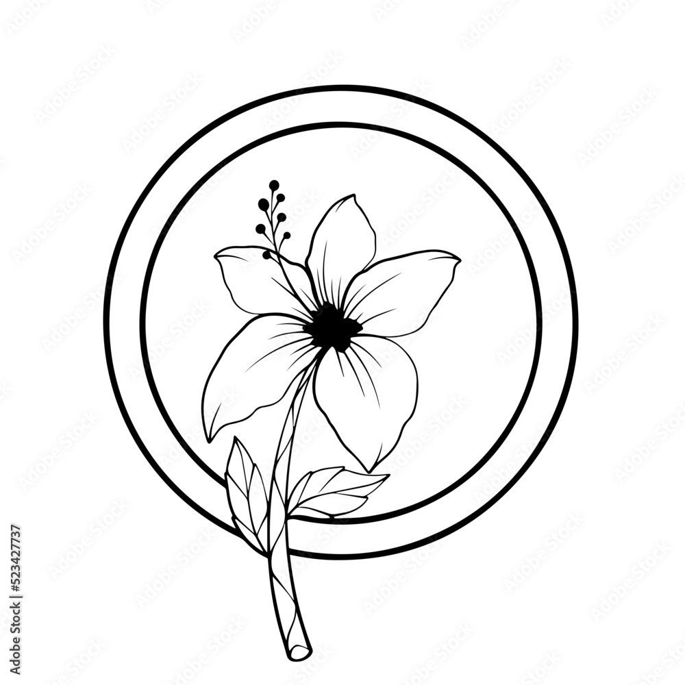 hibiscus flower drawing minimalist design botanical line art. Hand