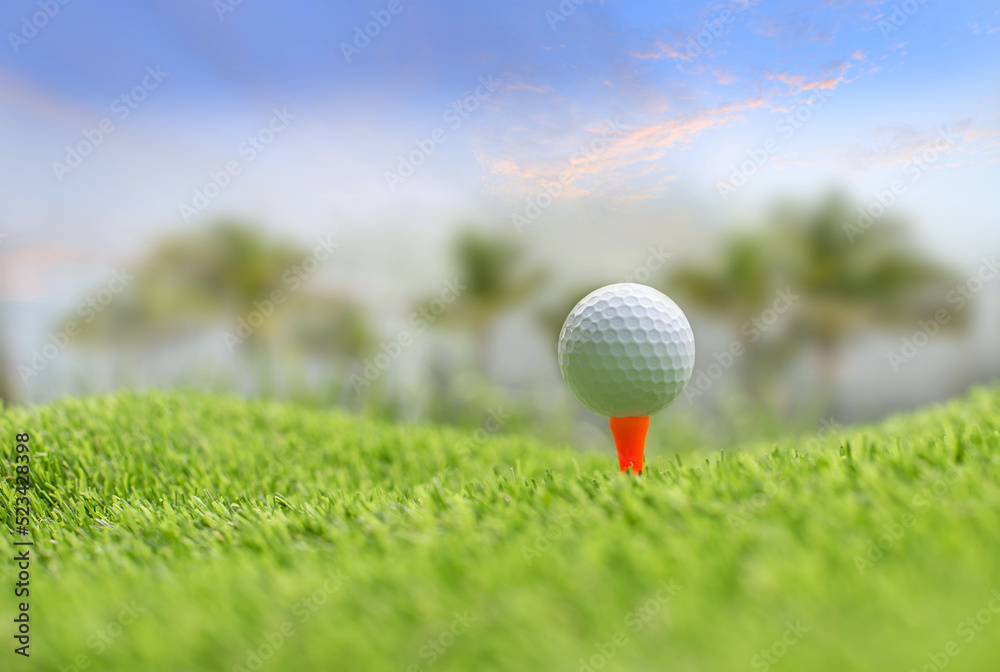 Golf ball on tee ready to be shot. putting golf ball on tee in golf course Golf ball on tee ready to be shot. putting golf ball on tee in golf course
