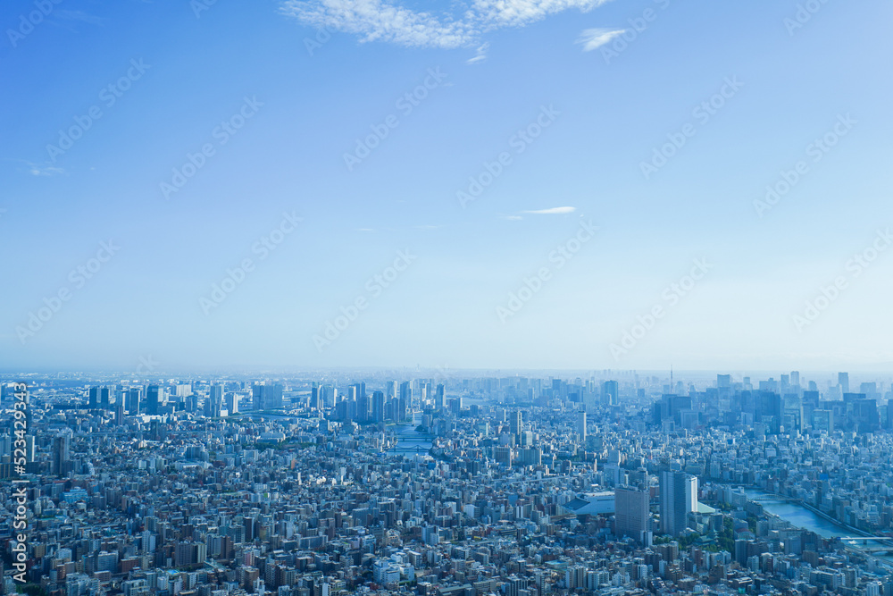 Obraz premium 東京の風景・高層ビル群