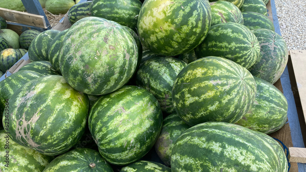 Fruit background. Lots Of Big Sweet Green Organic Ripe Watermelons Fruit background. Lots Of Big Sweet Green Organic Ripe Watermelons