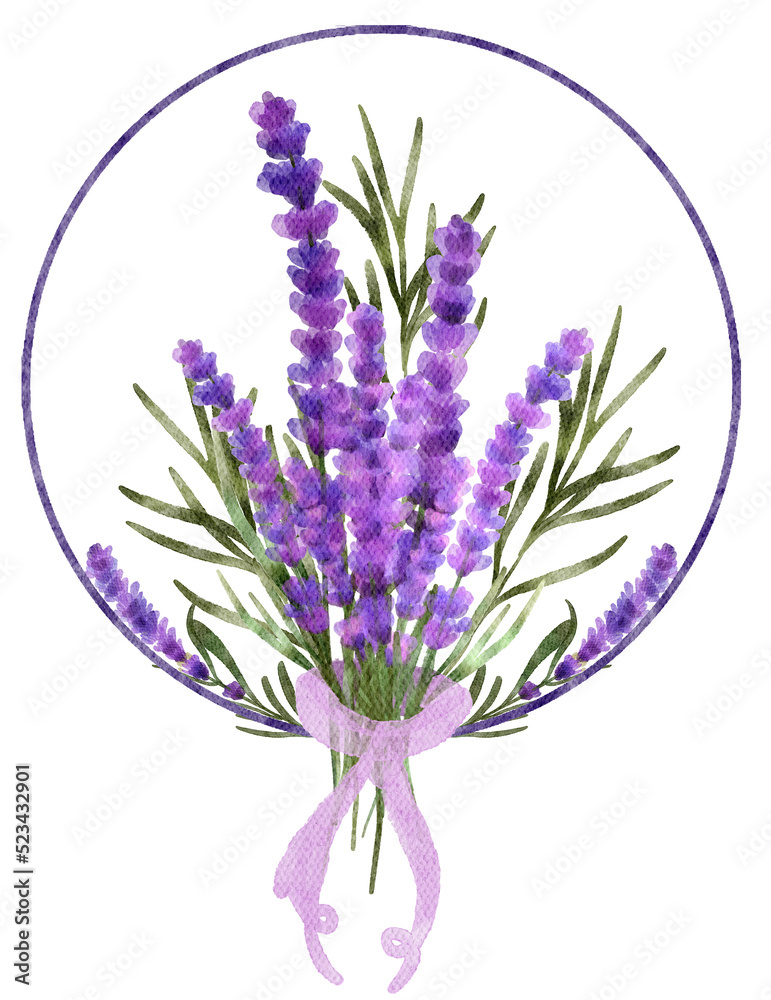 Obraz premium Lavender flowers watercolor with transparent background