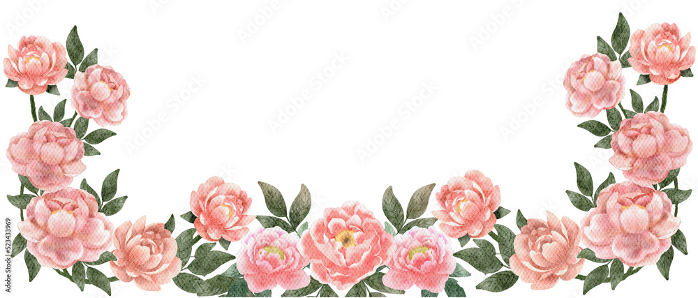 Peony flower watercolor with transparent background