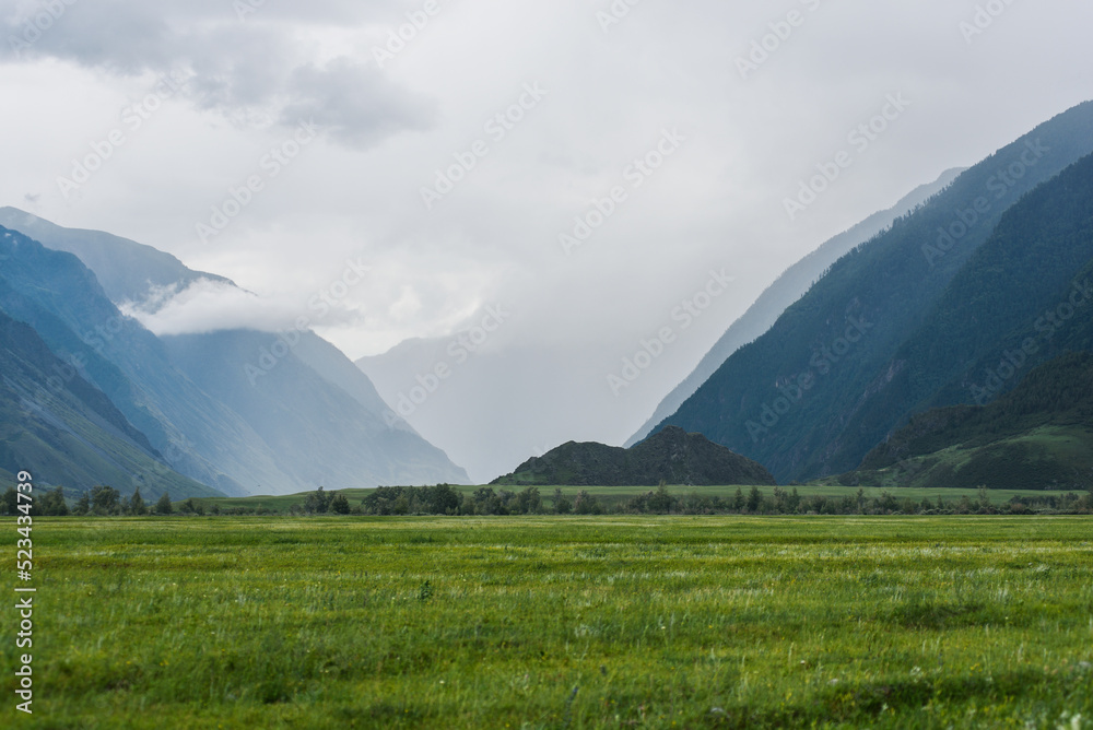 Fototapeta premium green valley among the mountains in cloudy weather. Mountain landscape