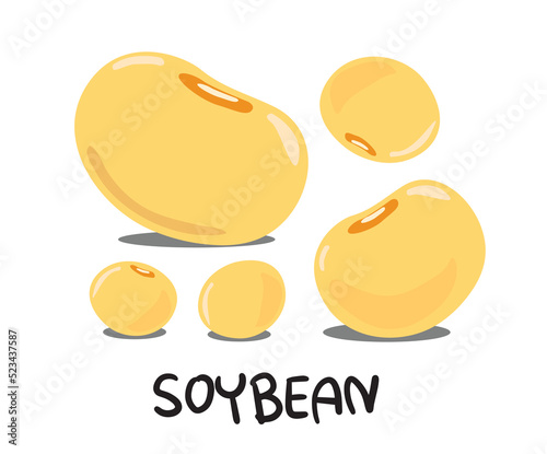 Soybean. Soybean logo. Soybean on white background. Soybean vector illustration in cartoon style. Soybeans icon.