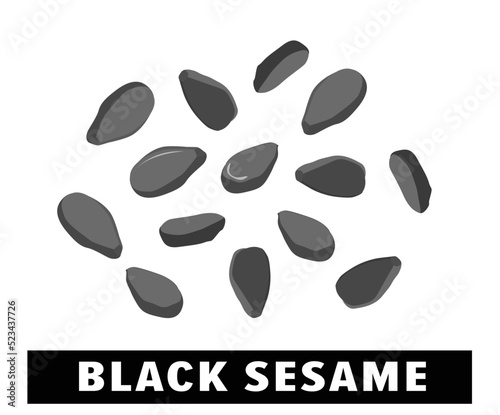 Black sesame Seeds isolated on white background. Vector illustration