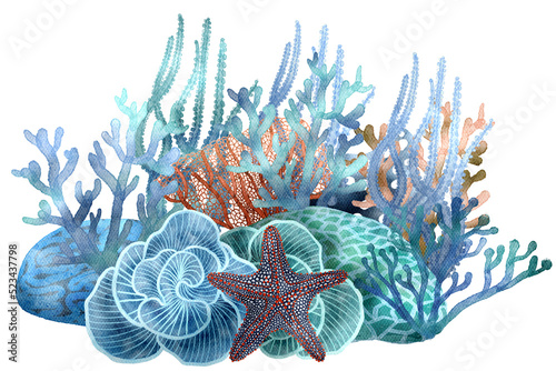 under ocean life element with watercolor painted , Coral reef with transparent background © jenjira