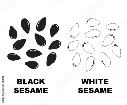 Sesame seeds isolated on white background. Sesame Seeds Vector