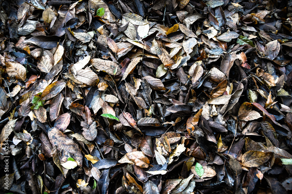 El otoño ya está aquí El otoño ya está aquí