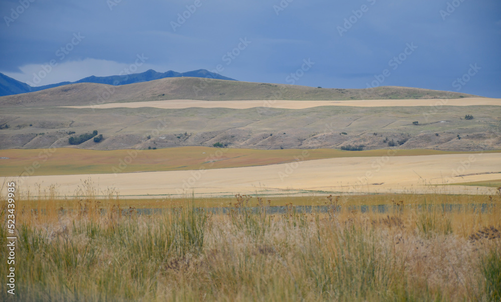 mountains, hills, dry fields and burnt grass, Cache Valley, Utah
