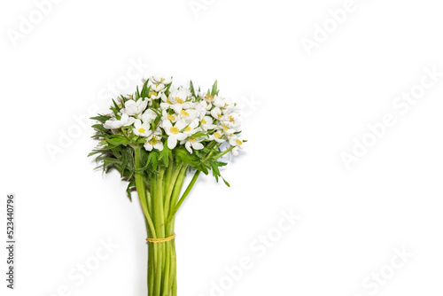 bouquet of white delicate spring anemone flowers on a white background, close-up, selective focus