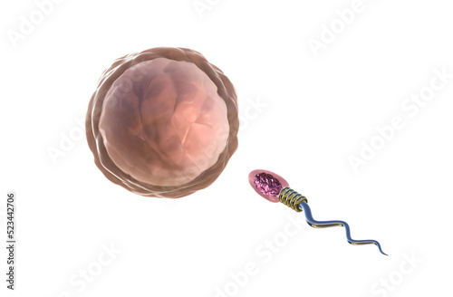 Digital technology human sperm swimming to the female ovum on black background, PNG Transparent Background, 3d Rendering Image.	
