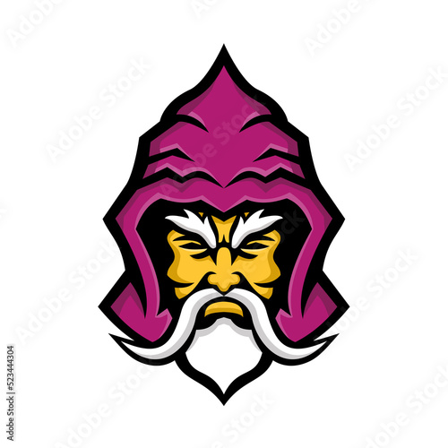 Принти на полотні Wizard Head Front Mascot