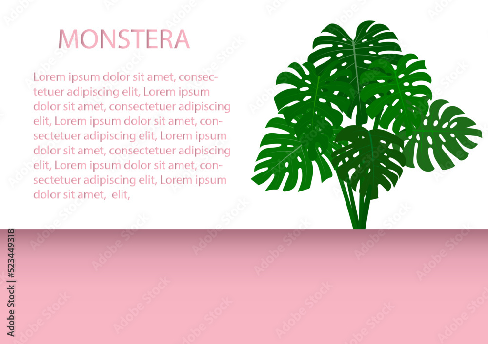 Obraz premium Monstera illustration vector Background Tropical.
