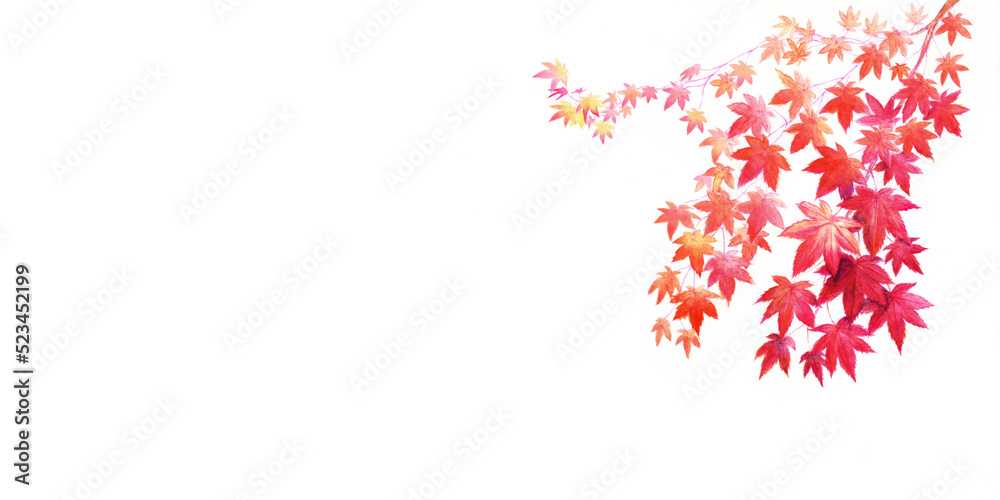 紅葉の水彩背景イラスト 紅葉の水彩背景イラスト
