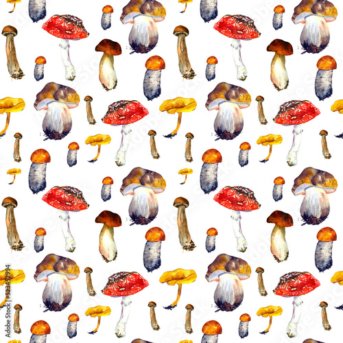Mushrooms Seamless Wallpaper Seamless Watercolor Background Hand Drawn Forest Plants Mushrooms
