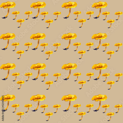 Mushrooms Seamless Wallpaper Seamless Watercolor Background Hand Drawn Forest Plants Mushrooms