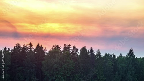 Wallpaper Mural Breathtaking View Of Colorful Sky Over Pine Tree Forest. - timelapse Torontodigital.ca