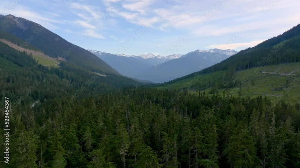 Evergreen Trees And Mountains Along Highway 99 Route In Pemberton, Vancouver, BC Canada. Aerial Pullback Evergreen Trees And Mountains Along Highway 99 Route In Pemberton, Vancouver, BC Canada. Aerial Pullback