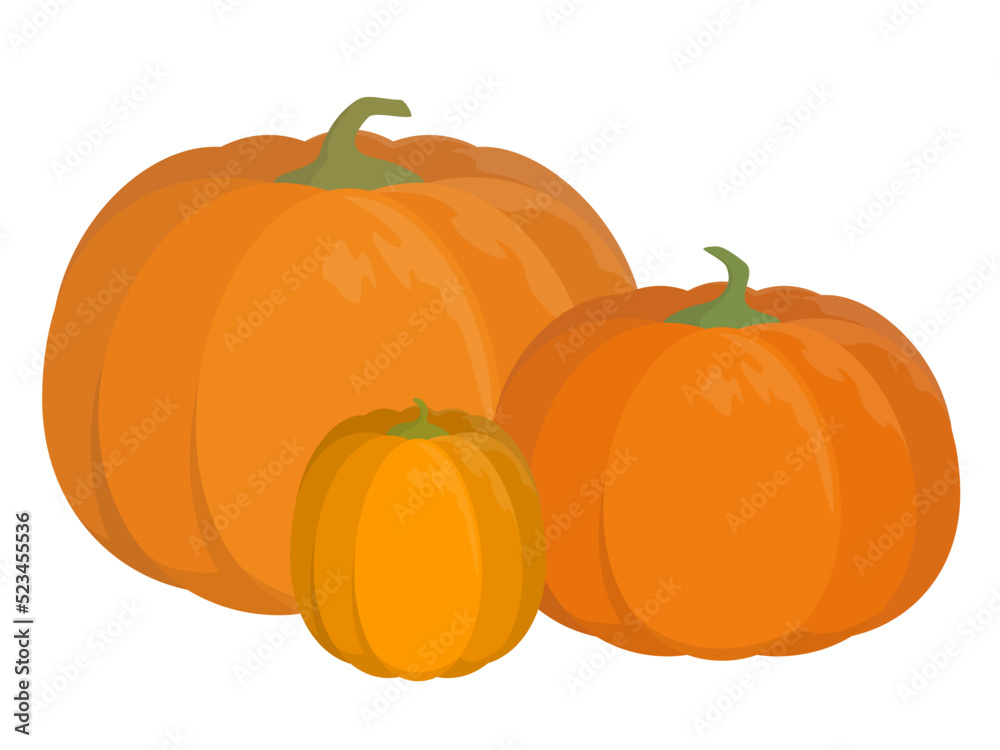 Obraz premium Vector illustration of pumpkins isolated on white background.