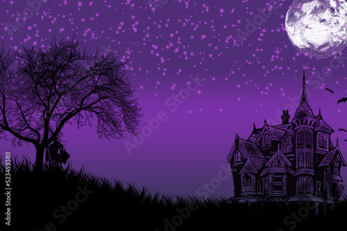 Halloween night spooky background with pumpkins and flying bats.  © Mizanur