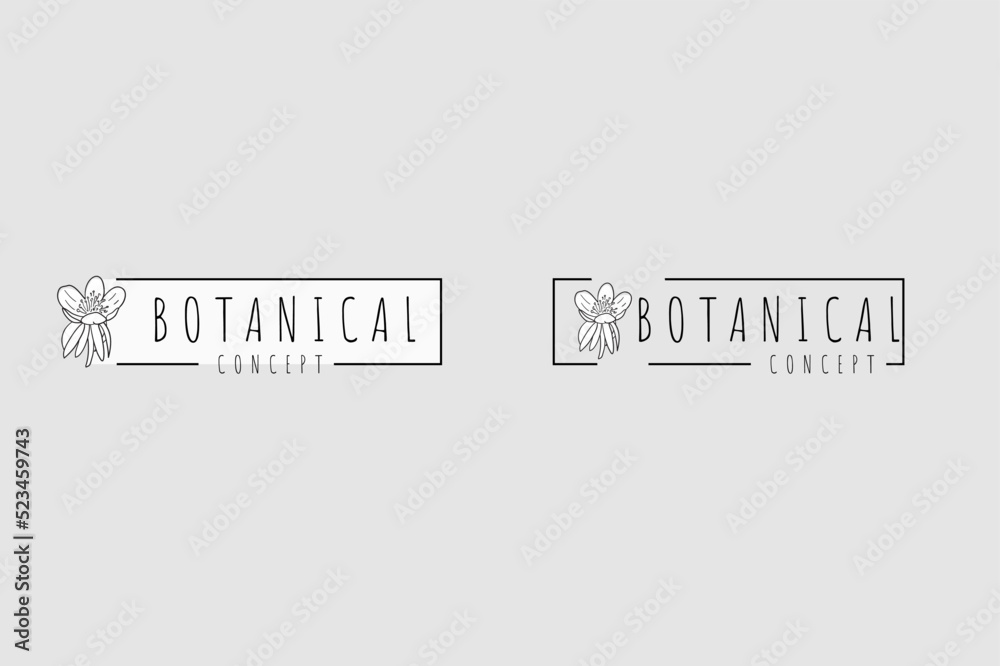 Minimal feminine modern botanical floral organic natural abstract mistletoe classical floral logo design
