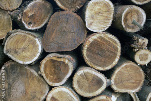 wood pile texture
