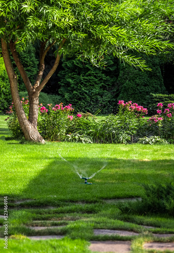 Backyard design elements of a beautiful private house.