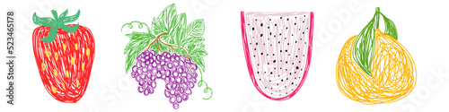Strawberries, grapes, pitahaya and tangerine. Fruit sketch set. Hand drawn vector illustration. Pen or marker doodle