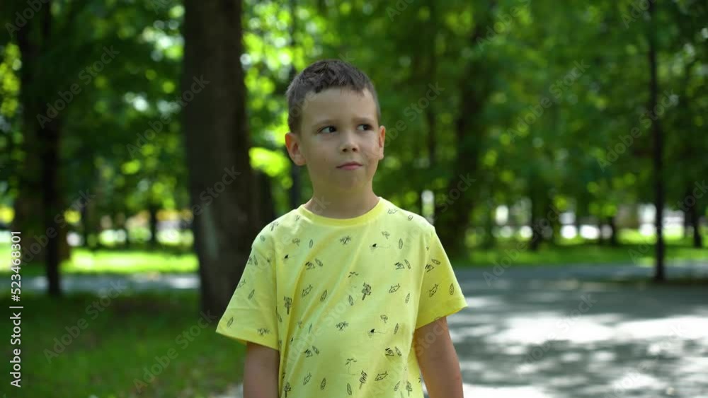 Caucasian boy walks in the park, looking surprised and thoughtful on a sunny summer day in a green park under the trees. The boy walks in the park among the green trees on the back of the plane Caucasian boy walks in the park, looking surprised and thoughtful on a sunny summer day in a green park under the trees. The boy walks in the park among the green trees on the back of the plane