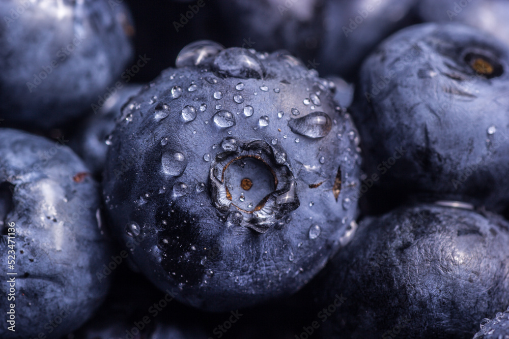 Blueberries close-up with a drop of water. Closeup of berries