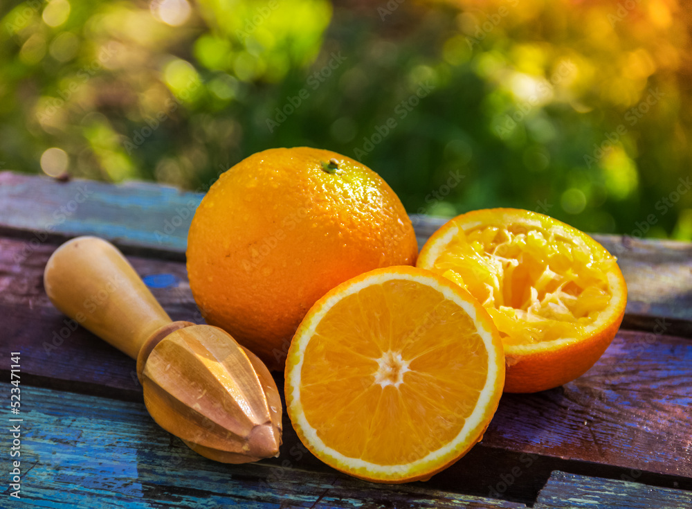Wooden citrus juicer. Wooden mudler