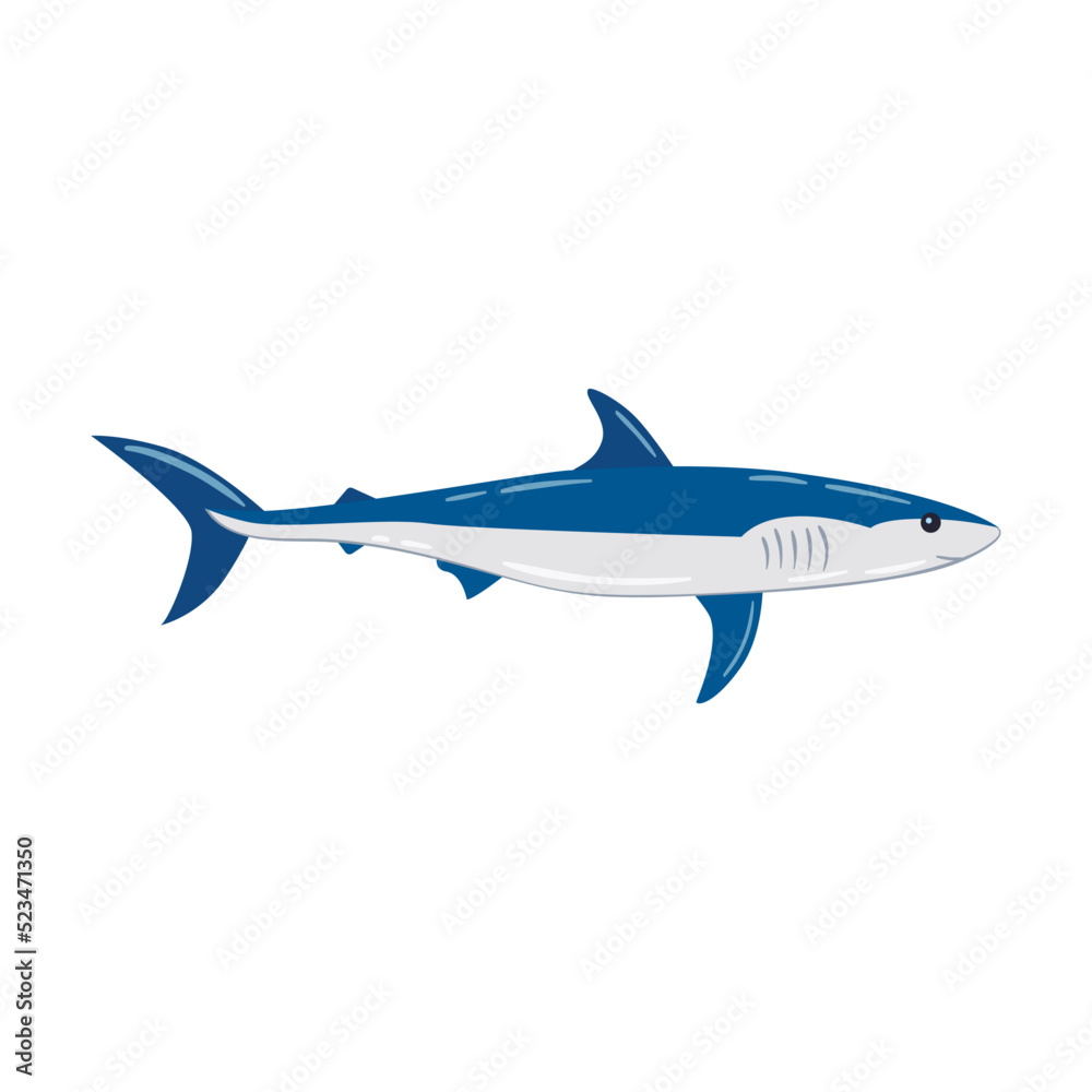 Various marine animals flat icon. Cartoon cute shark isolated vector illustration. Sea or ocean underwater life