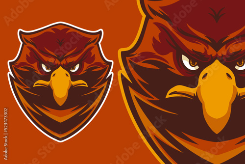 eagle head mascot vector il...