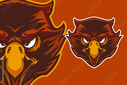 eagle head mascot vector il...
