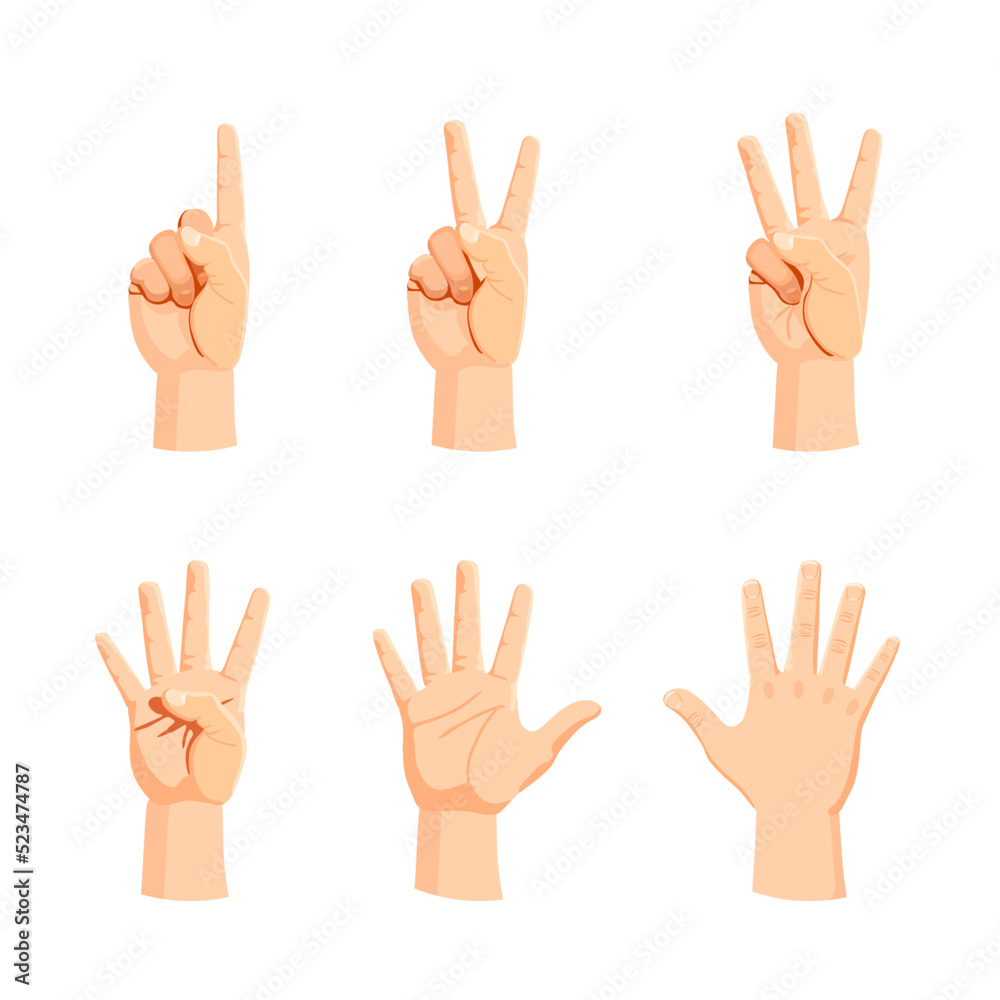 Human hands. A set of gestures for learning counting. Fingers, palms in different positions. Vector