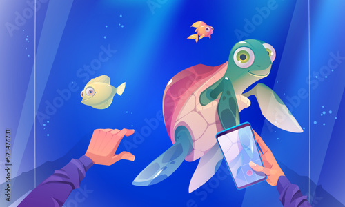 Character record video of turtle swimming in aquarium with fishes. Visitor in oceanarium with sea animals, cute tortoise reptile swim in blue water behind of glass wall, Cartoon vector illustration