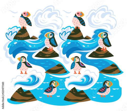 Puffins on the rocks vector print