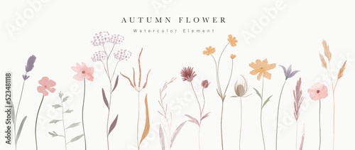 Collection of floral elements in watercolor. Set of autumn wild flowers, plants, branches, leaves and herb. Hand drawn of fall season blossom garden vectors for decor, website, graphic, decorative