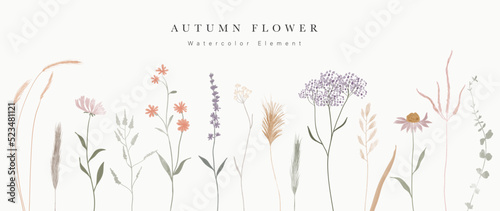 Collection of floral elements in watercolor. Set of autumn wild flowers, plants, branches, leaves and herb. Hand drawn of fall season blossom garden vectors for decor, website, graphic, decorative