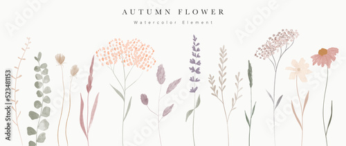 Collection of floral elements in watercolor. Set of autumn wild flowers, plants, branches, leaves and herb. Hand drawn of fall season blossom garden vectors for decor, website, graphic, decorative
