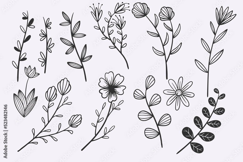 Obraz premium flower leaves doodle hand drawn vector illustration set