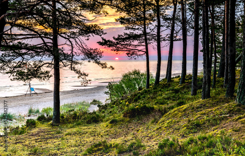 Fototapeta Naklejka Na Ścianę i Meble -  Sandy beach and forest dune area of the Baltic Sea. Concept of happy, bliss and healthy summer vacation in ecologically clean Baltic region of Eastern Europe