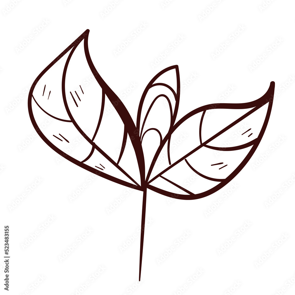 Botanical leaves set. Vector nature icon. Doodle illustration on white background.