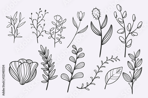 flower leaves doodle hand d...